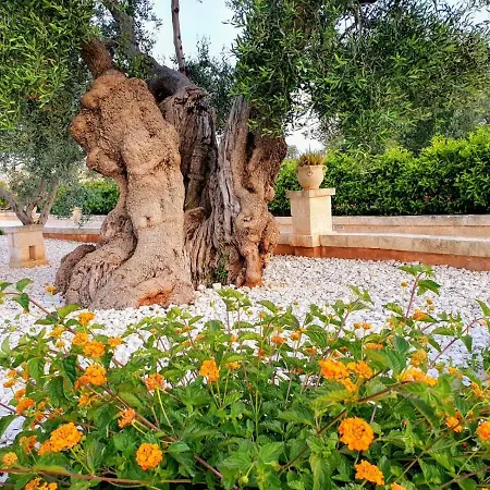 Dimora Di Tours *