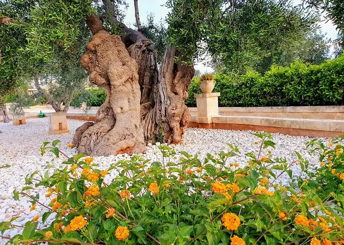 Dimora Di Tours *